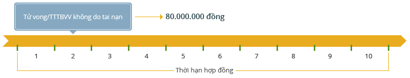 Bảo An Bình - Quyền lợi bảo hiểm không do tai nạn