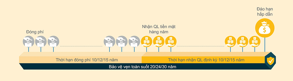 lựa chọn gói bảo hiểm linh hoạt 20, 24 hoặc 30 năm SUN – Trọn Vẹn Ước Mơ của Sun Life Việt Nam với phí bảo hiểm 10, 12 hoặc 15 năm