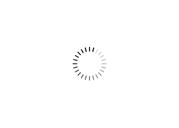 loading .......